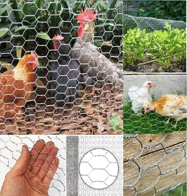 £12.95 • Buy Galvanised Wire Mesh Garden Pet Dog Cat Bird Aviary Rabbit Hutch Fencing Plant 