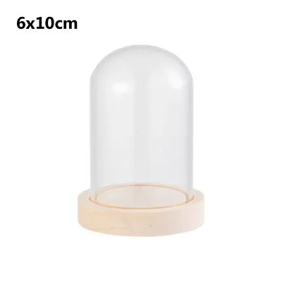 £6.08 • Buy Glass Dome Display Bell Jar Cloche On Wooden Base Table Decorative 6 Sizes*