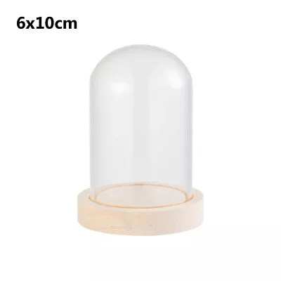 £5.97 • Buy Glass Dome Display Bell Jar Cloche On Wooden Base Table Decorative 6 Sizes*