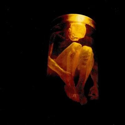 ALICE IN CHAINS Nothing Safe CD NEW • $14.70