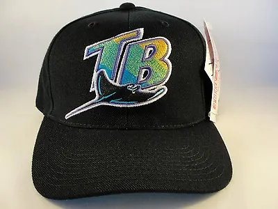 MLB Tampa Bay Devil Rays Vintage Snapback Hat Cap American Needle • $25