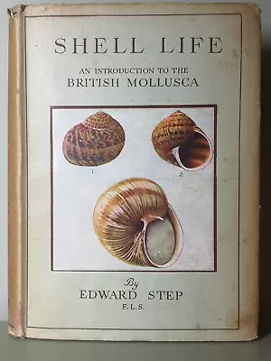 Shell Life An Introduction To The British Mollusca By Edward Step 1945 • £14