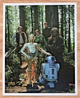 Vintage 1983 Star Wars Return Of The Jedi 8  X 10  Fan Club Photo Photograph • $39.99