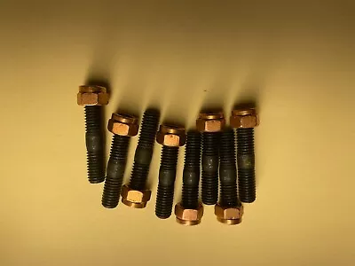 VW Bug Exhaust Stud & Nut Kit. 8 Copper Nuts & 8 Exhaust Studs.  • $14.99