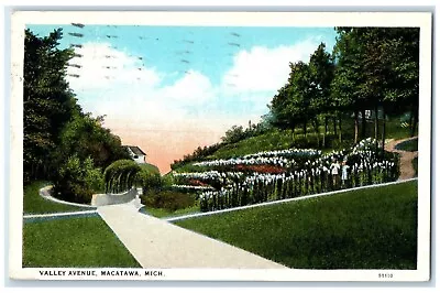 1925 Scene Flowers Garden Valley Avenue Macatawa Michigan MI Antique Postcard • $29.95