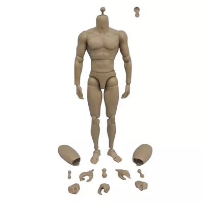 £23.65 • Buy 1:6 Scale Action Figure Male Muscle Body Toys Version 2.0 For TTM19