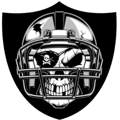 Las Vegas Raiders Skull Logo Sticker Vinyl Football Oakland Angeles Jersey • $5