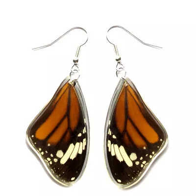 Danaus Monarch Mimic Forewing Real Butterfly Wing Earrings • $15