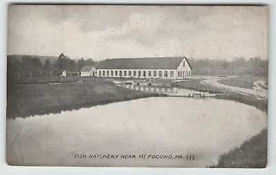 Postcard Vintage Fish Hatchery Mt. Pocono PA Jos. Wallace & Sons Dept. Store • $7.57