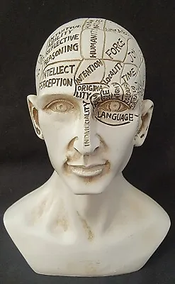Paperweight Man Head Brain Phrenology Medical Science Resin Antiqued Finish Vtg • $34.99