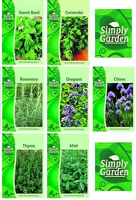 7 Herb Seeds Variety Pack Coriander Mint Chive Basil Oregano Rosemary Thyme  • £5.99