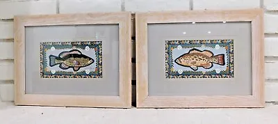 Vintage Claire Murray Trout Bass Fish Art Prints Framed Set Of 2 13x17 Coastal  • $29.95