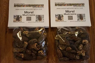 4oz Dried Morel Mushrooms Premium Quality Pacific Northwest Harvested Inside USA • $37.50