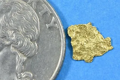 Alaskan-Yukon BC Gold Rush Natural Gold Nugget 0.18 Grams Genuine • $19.57