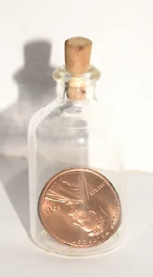 Vintage 1971 Penny In A Miniature Glass Bottle With Cork Stopper • $29.99