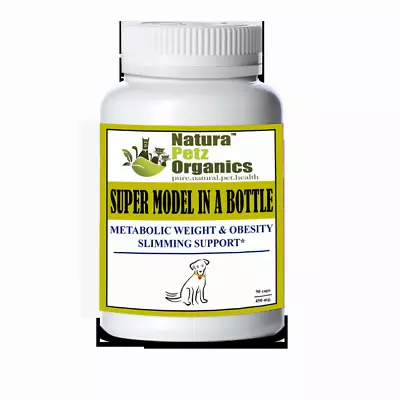 Super Model In A Bottle - Metabolic Weight & Obesity Slimming Support* Adult & • $44.07