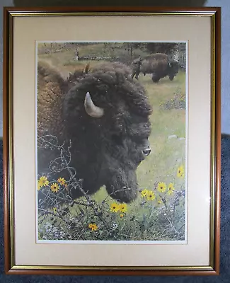 Lovely Large Vintage Carl Brenders Signed Limited Edition Print Buffalo / Bison • $106.87