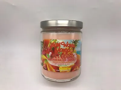 Pet Odor Exterminator Candle Maui Wowie Mango 13oz Jar • $14.99