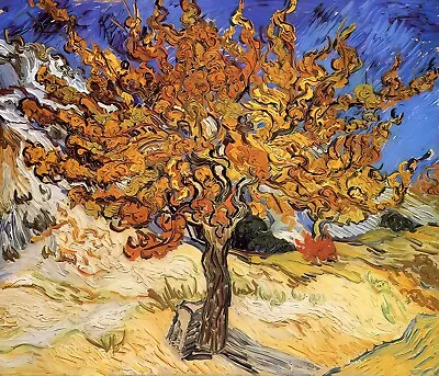 The Mulberry Tree By Vincent Van Gogh Art Painting Print • $14.99