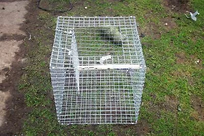 1 X Magpie Trap Half Larsen This Is The Catch Part Of A Larsen Trap A1***** • £57.99