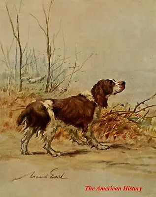 3442 Earl Maud (1864-1943) - Power Of The Dog 1910 - English Springer Spaniel • $10.62