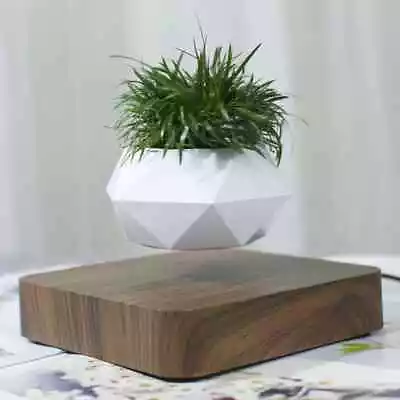 Dark Oak Floating Levitating Magnetic Air Bonsai Flower Plant Pot - Eu Plug • £85