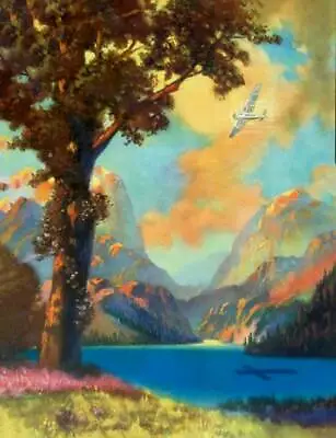 Scenic Lake Airplane By Maybe R A Fox • $15.95