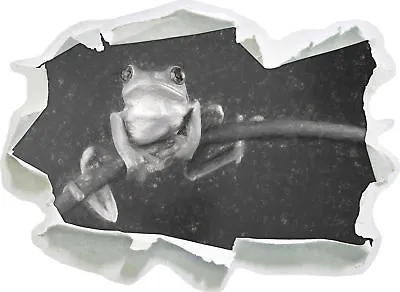 Tree Frog On Bamboo Art Charcoal Effect - 3D Look Paper Wall Tattoo Sticker - • £17.20