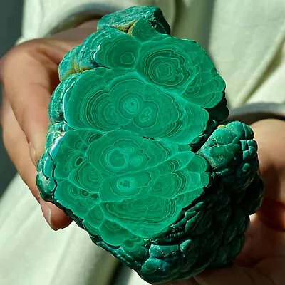 1.18LB Natural Glossy Malachite Transparent Cluster Rough Mineral Sample • $0.99