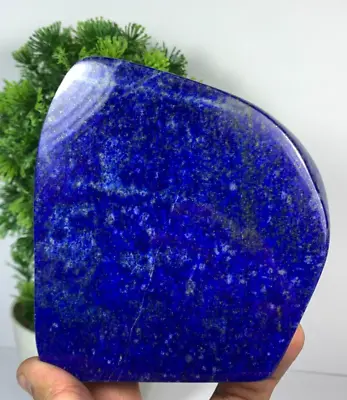 483Gram Lapis Lazuli Freeform Rough Tumbled Polished AAA+ Grade From Afghanistan • $59.99