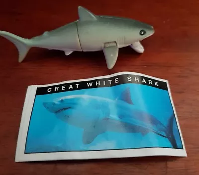 Yowies - GREAT WHITE SHARK - With Papers - FAST POST • $5