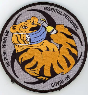 PATCH USAF F-15  391st EFS BOLD TIGERS NO TP NO PROBLEM ESSENTIAL HOOK BACK • $10