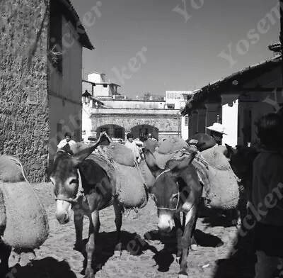 A18  Original Negative 1974 Mexico Taxco Street View Donkey 992a • $9.25