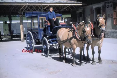 #Z88- Vintage 35mm Slide Photo- Horse And Buggy -Red Kodachrome 1950s • $5.50