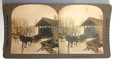 Memories Of Olden Time Stereo View Card • $5.59