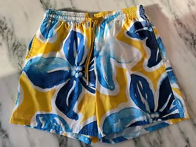 Vilebrequin Swim Shorts Mens Large All Over Print  Mesh Lined • $18