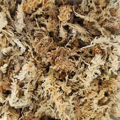 Gold Grade Sphagnum Moss For Orchids Terrariums Pots & Hanging Basket • $7.99