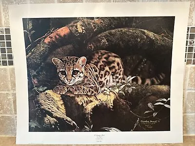 A Sunny Spot  Print Artist: Charles Frace' Limited Editiion 221/2500 Signed • $58.65