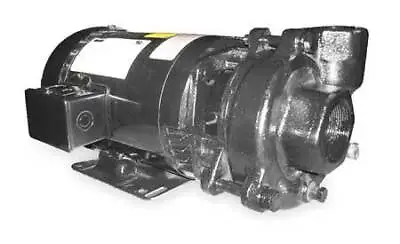 Dayton 2Zwr3 Cast Iron 3 Hp Centrifugal Pump 208-230/460V • $929.99