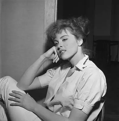 Tina Louise Poses In New York City 1957 Old Photo 1 • $9