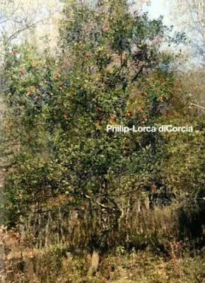 Philip-Lorca DiCorcia Dyer Geoff Good Book • $131.34