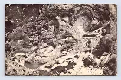 La Brea Tar Pit Fossil Bones ~ Vintage Los Angeles Paleontology Artvue PC ~1950s • $12.99
