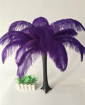 2 Pcs Purple Ostrich Feathers 30/32cm  DIY Craft Millinery Decor Costume Wedding • $6