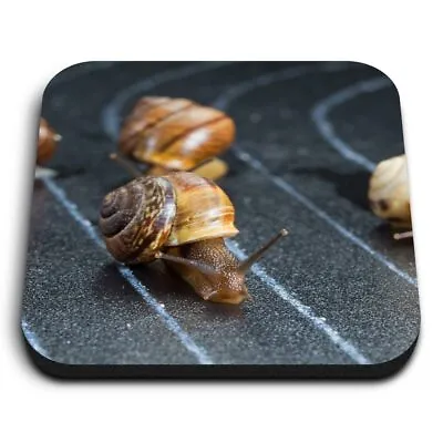 Square MDF Magnets - Racing Snails Race Ny Insect Snail  #24221 • £4.99