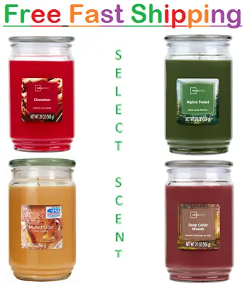 Mainstays Cinnamon Scented Single-Wick Large Glass Jar Candle 20 Oz Select Scent • $11