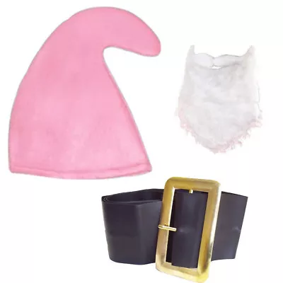 Pink Hat Beard & Belt - Dwarf / Garden Gnome Fancy Dress Costume Cartoon • £7.45