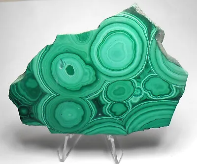 Polished Bullseye Malachite Slab - Congo - 4 1/4 Inches • $52