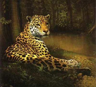 Jaguar By Charles Frace Spotted Big Cat Wildlife Fine Art Paper Print  • $34.99