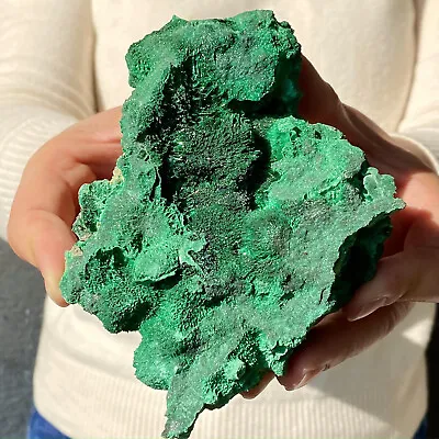 478G Natural Green Malachite Crystal Fiber Cluster Rough Mineral Sample • $12.50