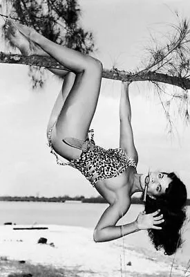 380843 Bettie Page Hanging From Tree WALL PRINT POSTER AU • $20.85
